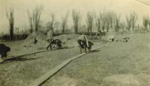 1926 Poplar Road Ground Clearing-04